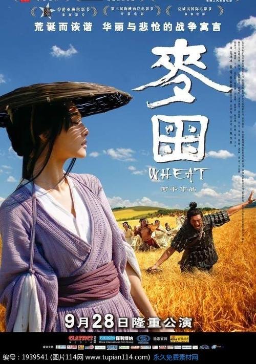 犹他大学国际商务文凭证书